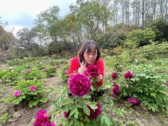 -昆山城市生态森林公园