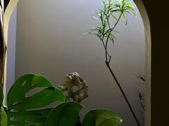 -有才叔的小馆(招商依云曲江店)