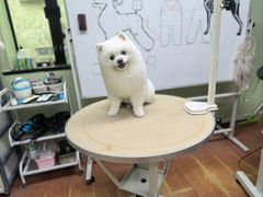 -鑫艺宠物美容培训学校