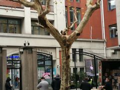 -上海市黄浦区卢湾第一中心小学