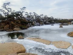 -罗红摄影艺术馆