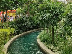 -南宫五洲植物乐园