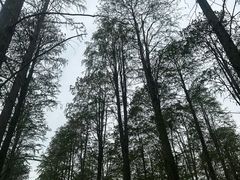 -渌洋湖湿地公园