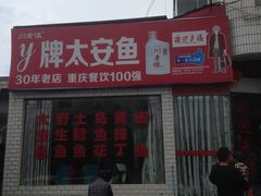 -y牌太安鱼