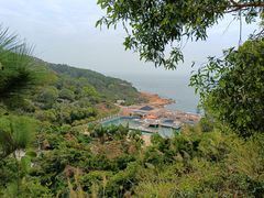 -广东惠东海龟国家级自然保护区