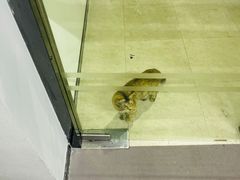 工作室的猫-AK健身普拉提拉伸私教馆(中八店)