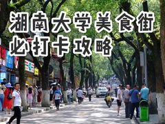 -茶颜悦色(登高路上店)