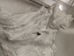 -深圳温德姆至尊酒店