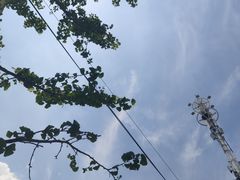 -众独空间沉浸式自习室(三阳路铂仕汇店)
