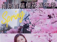 -金茂览秀城