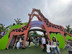 -季高兔窝窝亲子园(上海薰衣草公园店)