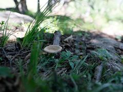-克什克腾世界地质公园青山景区