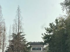 -沂蒙山旅游区龟蒙景区