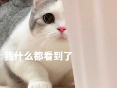 -沫汐披萨(白象街店)