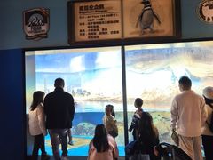 -海合安武汉极地海洋公园