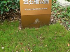 -建平中学西校