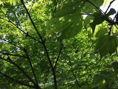 -虞山城墙