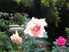 -人民公园(罗湖区)