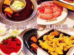 -晓宇重庆火锅(赛格国际购物中心店)