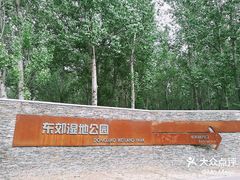 -东郊湿地公园