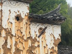 -杨家堂村
