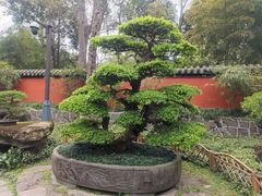 -成都武侯祠博物馆