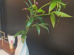 -四道菜·福建菜馆(曲江创意谷店)