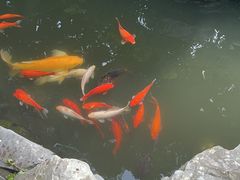 -南京市民俗博物馆(甘熙故居)