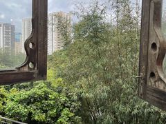 -鲤鱼塘农家山庄