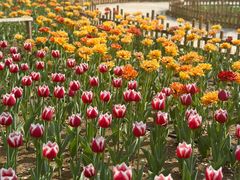 -北京动物园-畅观楼