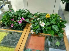 -首都医科大学附属北京潞河医院