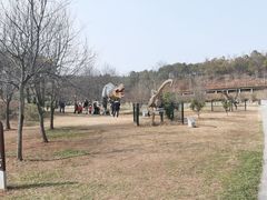 -西峡恐龙遗迹园