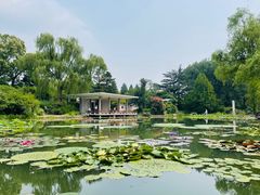 -国家植物园南园