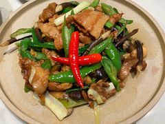 黑鸡枞菌炒肉-渔语鱼酸菜鱼新川菜(来福士店)