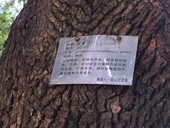 -南昌八一起义纪念馆