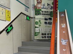 -心仪动物医院·牙专科·肿瘤·心脏科(西客站院)