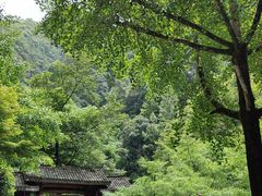 -刘伯温故里景区百丈漈