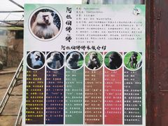 -青藏高原野生动物园