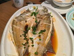 -吕氏疙瘩汤·新派鲁菜(济南万象城店)