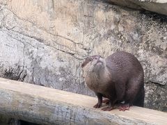 -香港海洋公园
