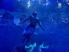 -华夏文旅海洋公园