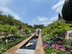 -深圳仙湖植物园
