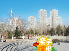 -绿岛公园(滨海新区)