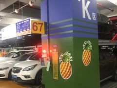 -复旦大学附属中山医院东院区-停车场