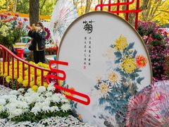 -上海共青森林公园