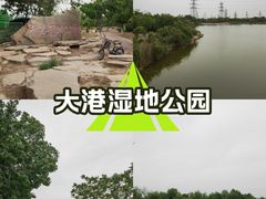 -大港湿地公园