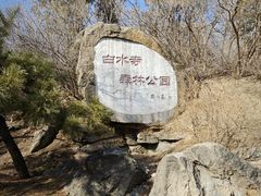 -白水寺森林公园