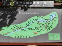 -茅兰沟国家森林公园