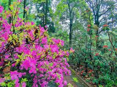 -贵州省植物园