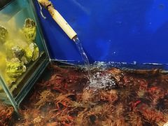 -遇上西雅图多融合海鲜自助餐厅(中房金谊广场店)